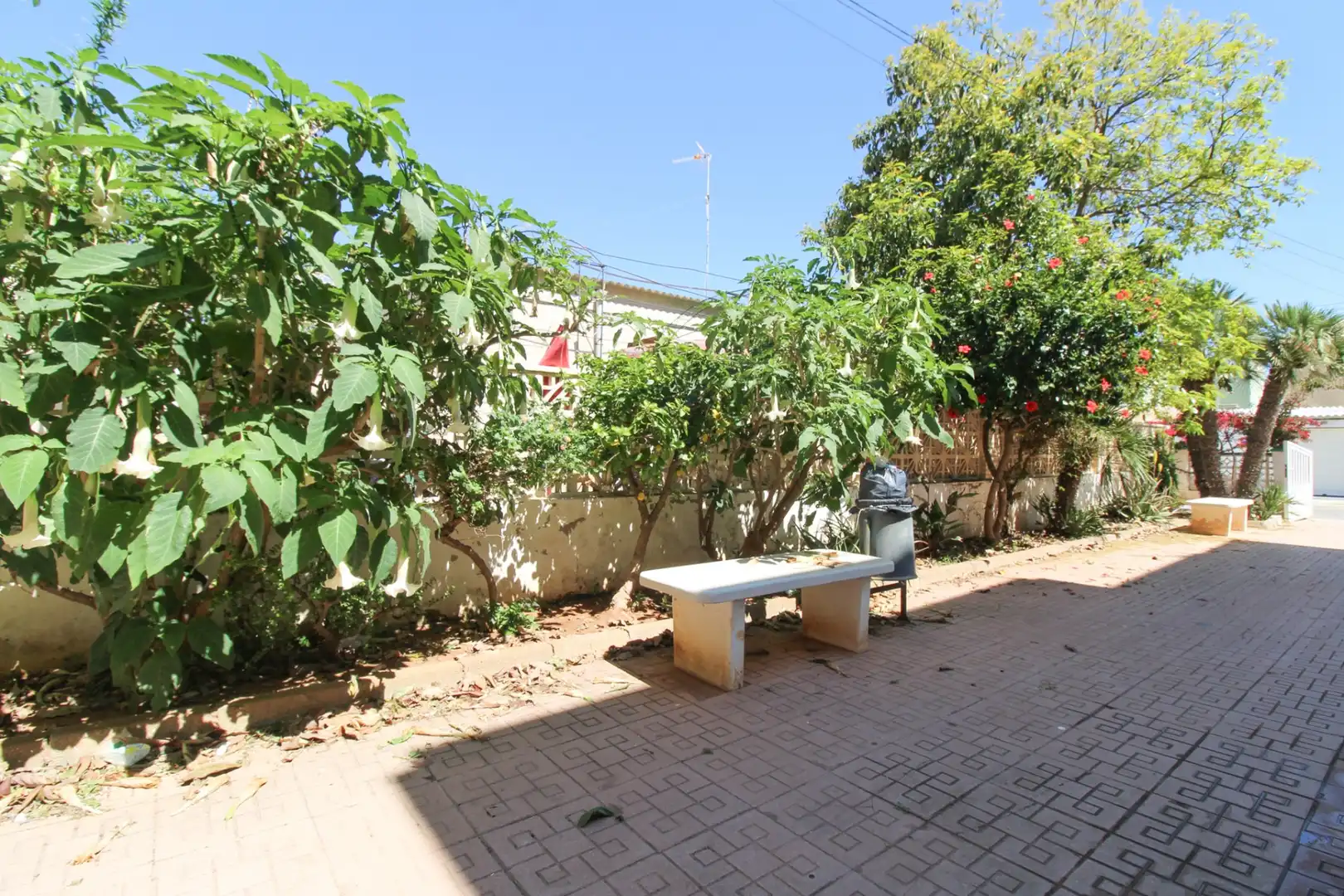 Bungalow to rent in Mar Menor de Cartagena – Cabo de Palos, imagen 50
