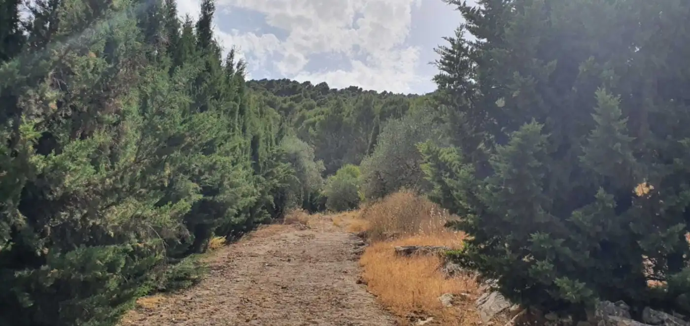 Terreni e lotti in vendita a Yunquera, imagen 8