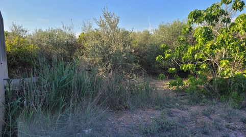 Finca Rúst. en venta en Onda., imatge 4