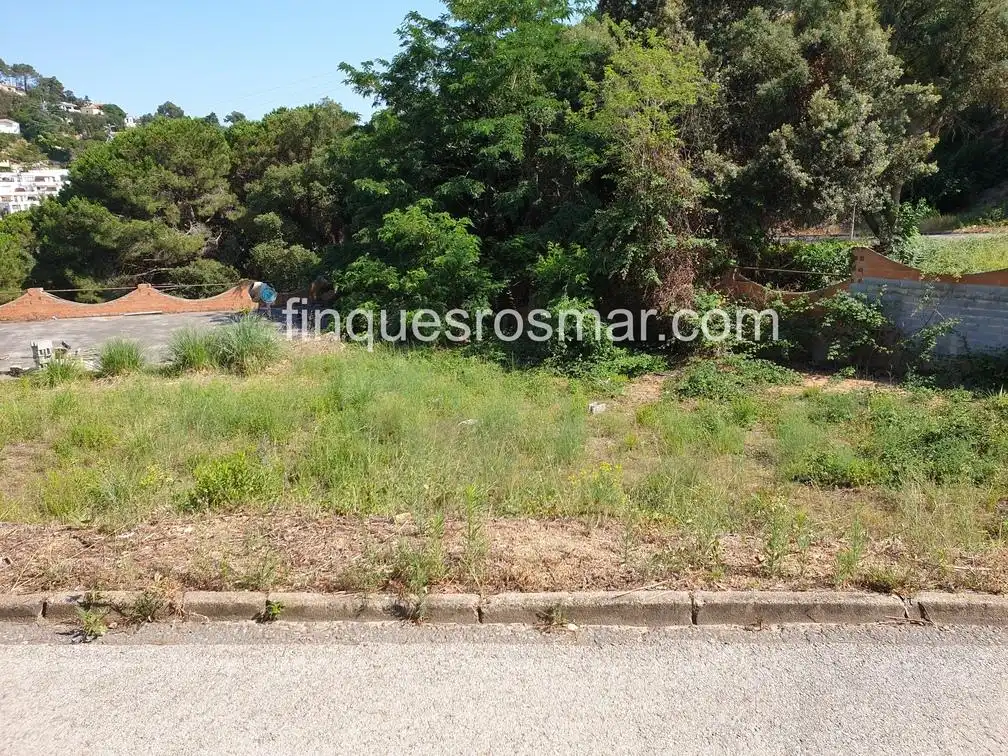 Terrenos y solares en venta en Serra Brava, imagen 7