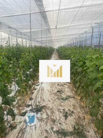 Terreno residencial en Venta en Vícar Pueblo