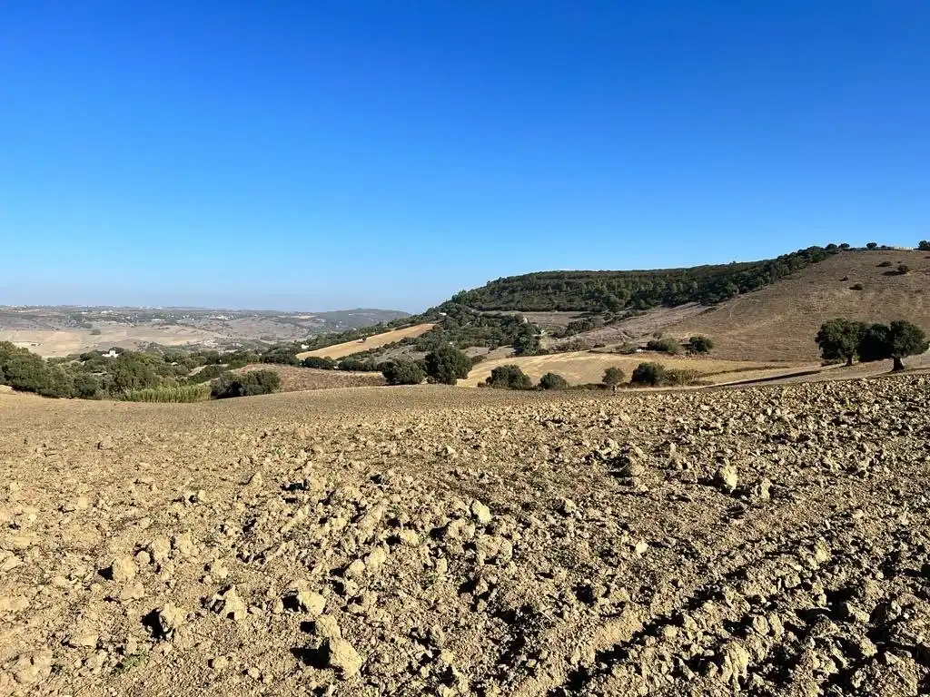 Casa rústica en venda a Vejer, imagen 4