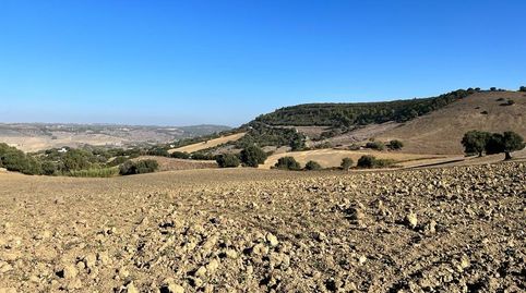 ESTUPENDA PARCELA RUSTICA EN VEJER DE LA FRONTERA, imatge 4
