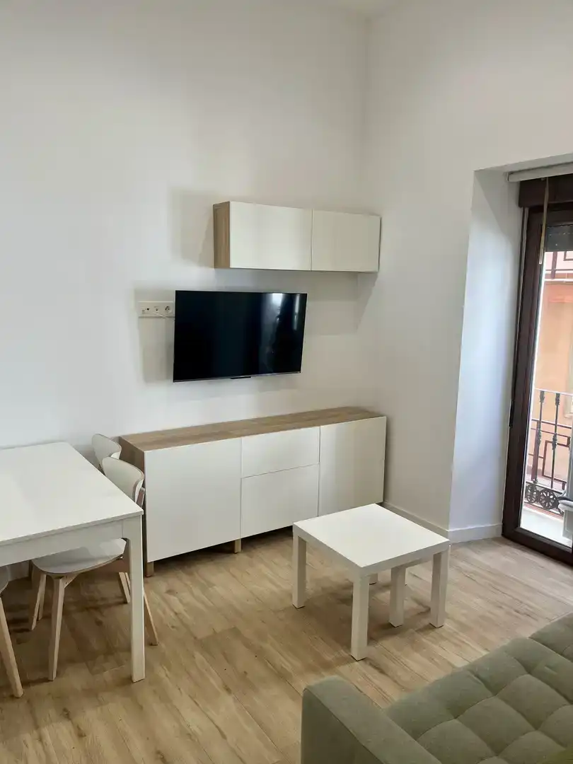 Living room of Flat for rent in Centro