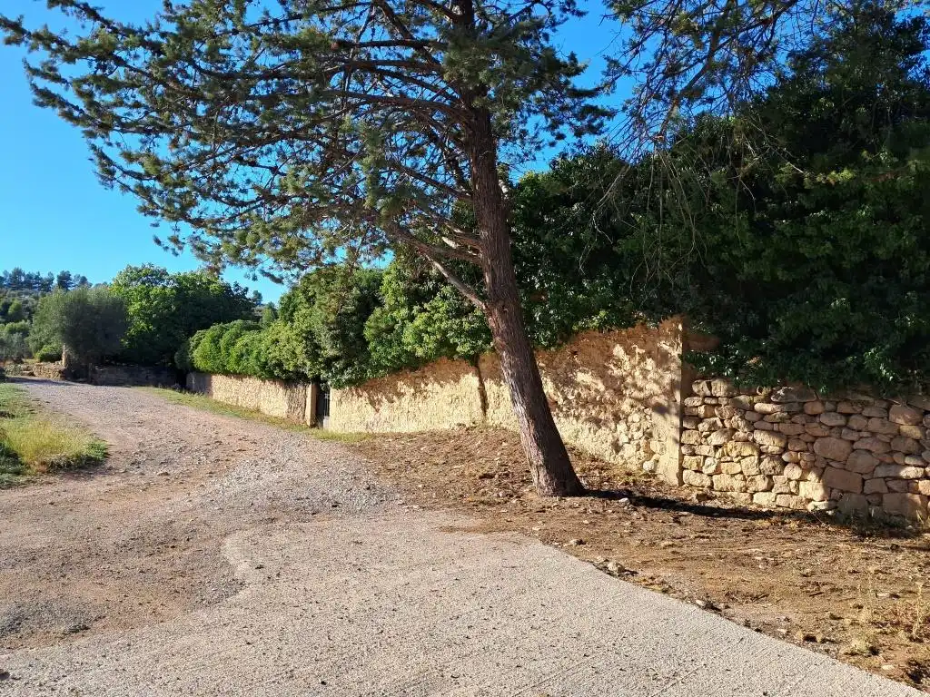 Rural land for sale in Zn Diseminats 8, imagen 3