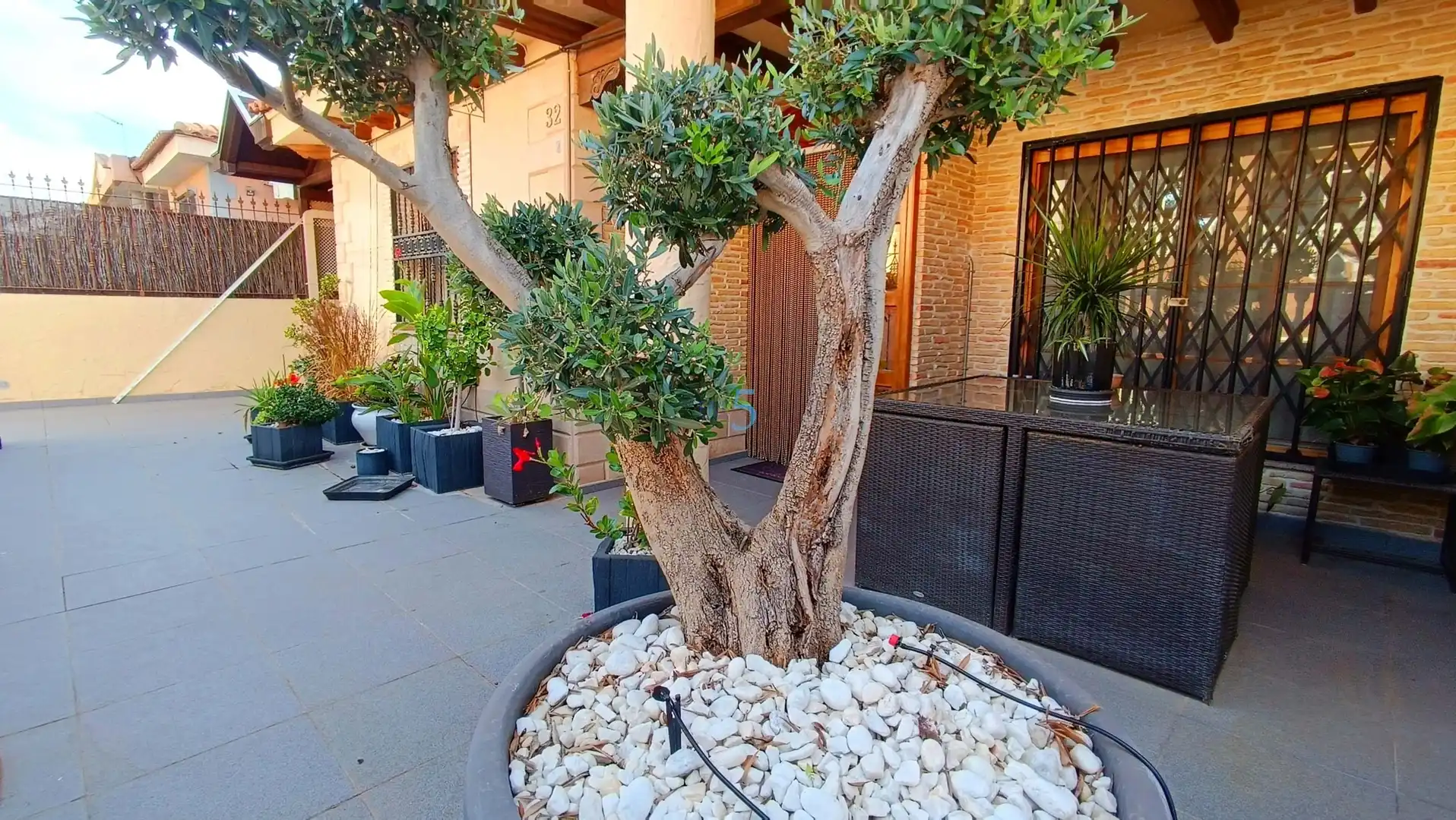 Bungalow en venta en Benijófar, imagen 8