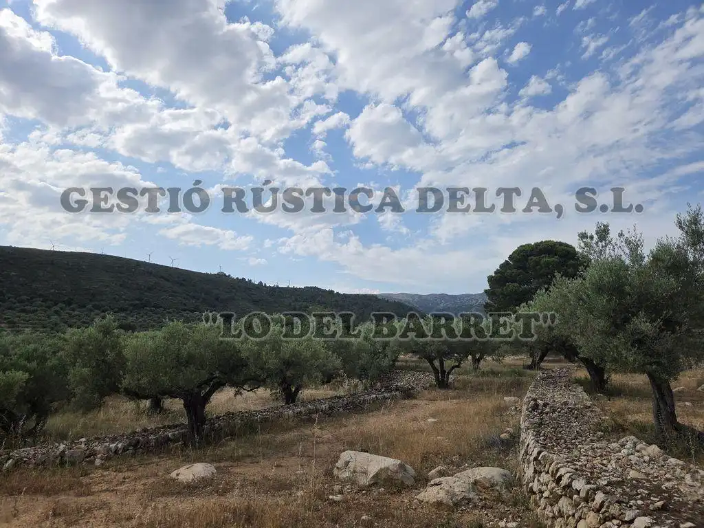 Finca rústica en venda en El Perelló