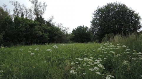 Foto 4 von Residential zum Verkauf in Amoeiro, Ourense