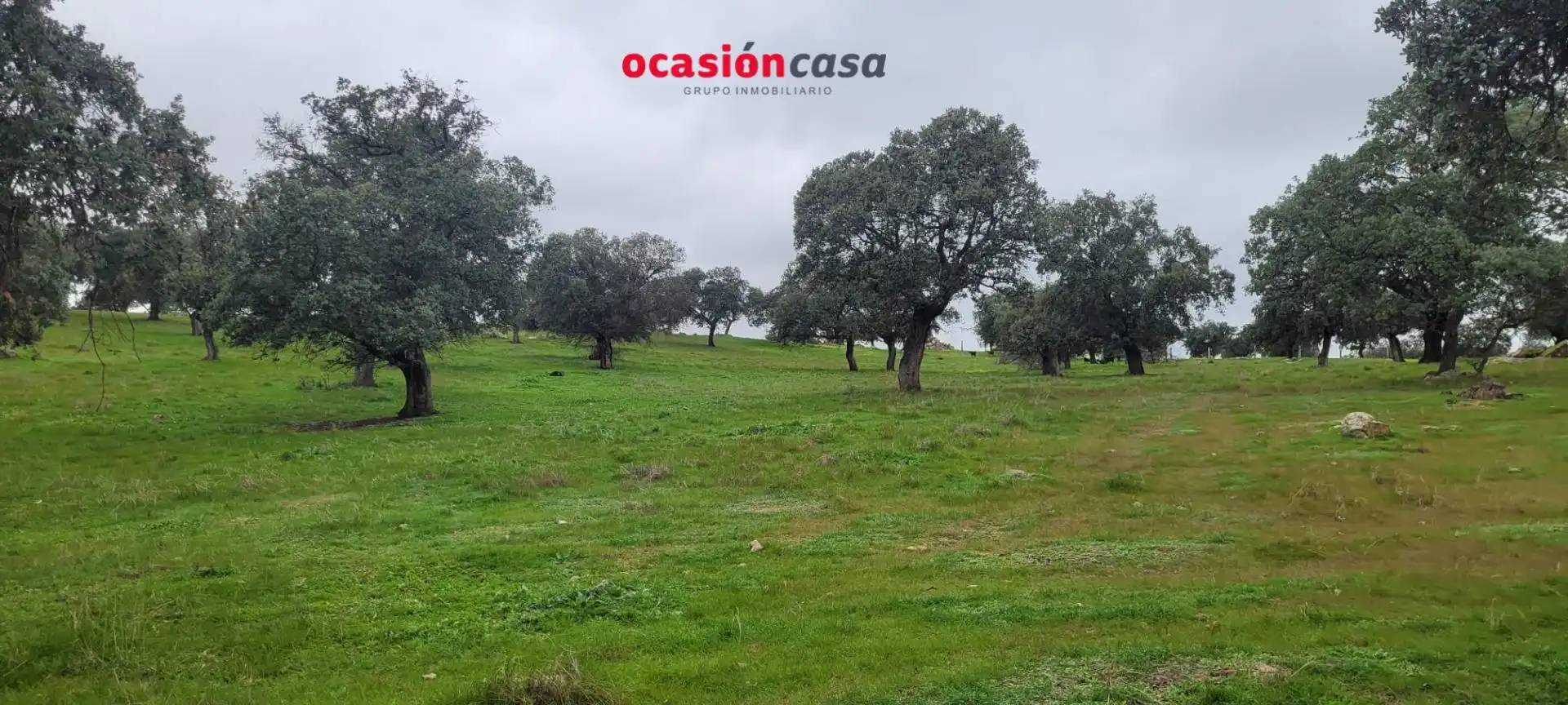 Casa rústica en venta en Pedroche, imagen 3