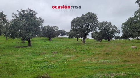 PARCELA RÚSTICA EN PEDROCHE, immagine 3