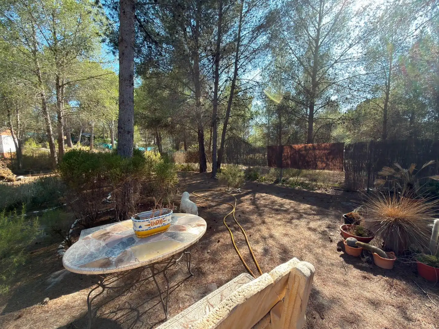 Garden of Country homes for sale in Tibi