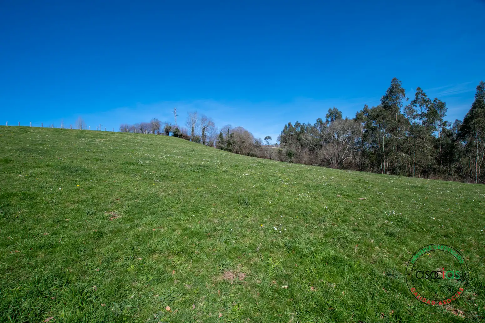 Terreno rustico in vendita a Cabranes - Naveda, imagen 31