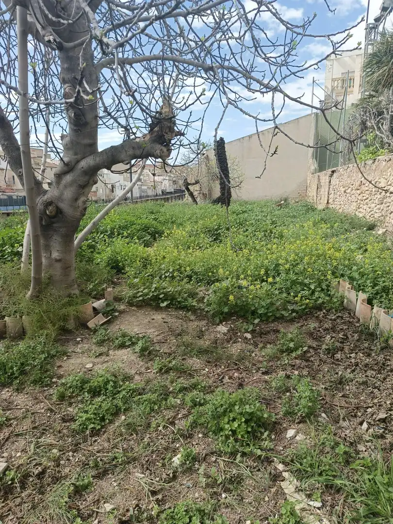 Casa con jardín en venta en Aspe Centro