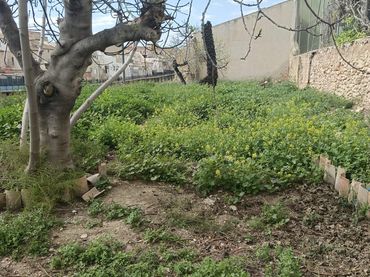 Maison avec jardin à vendre à Aspe Centro