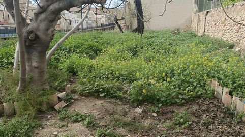 Gran casa en Aspe con inmenso jardín.
