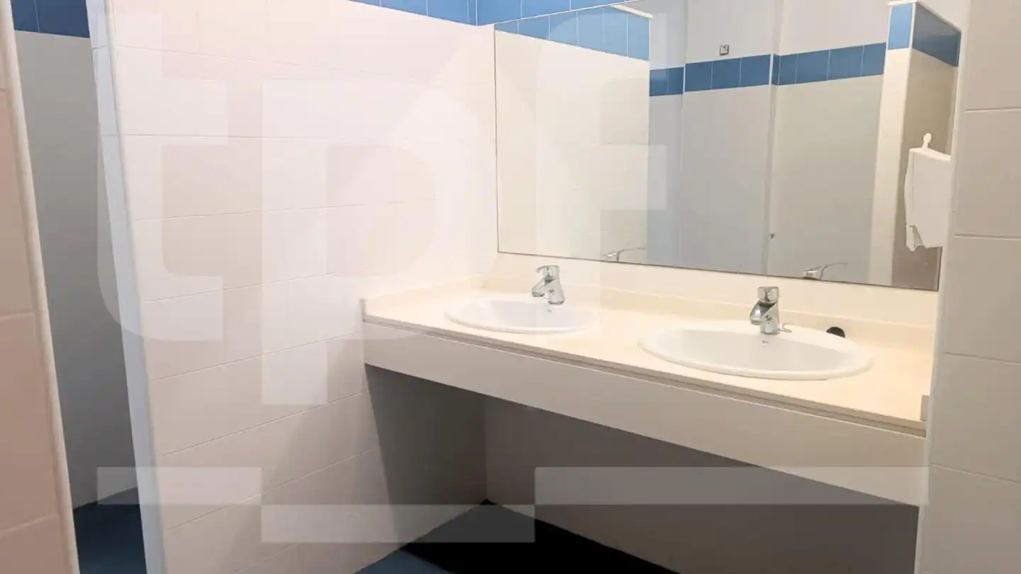 Bathroom of Industrial buildings for sale in L'Alcúdia