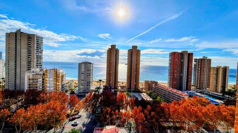 Foto 5 de Pis de lloguer a Gerona, Playa Levante, Benidorm