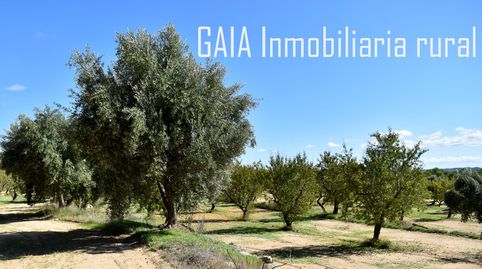 Immagine 5 dell'annuncio