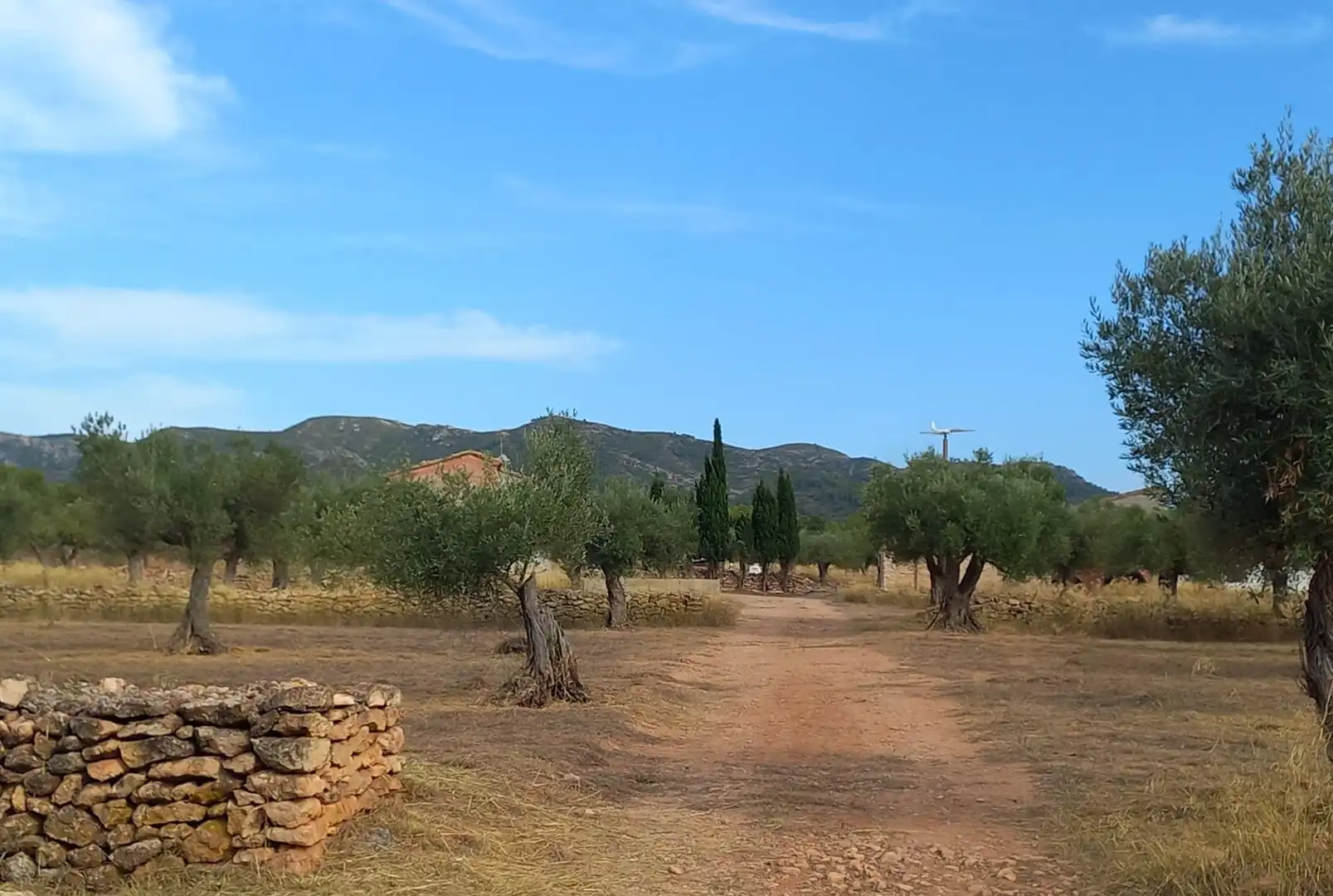 Finca rústica en venta en Tivissa
