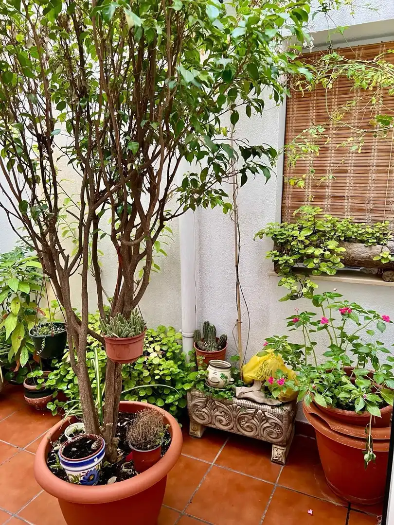 Casa en venda a Ctra. Circunvalación - La Magdalena, imagen 24