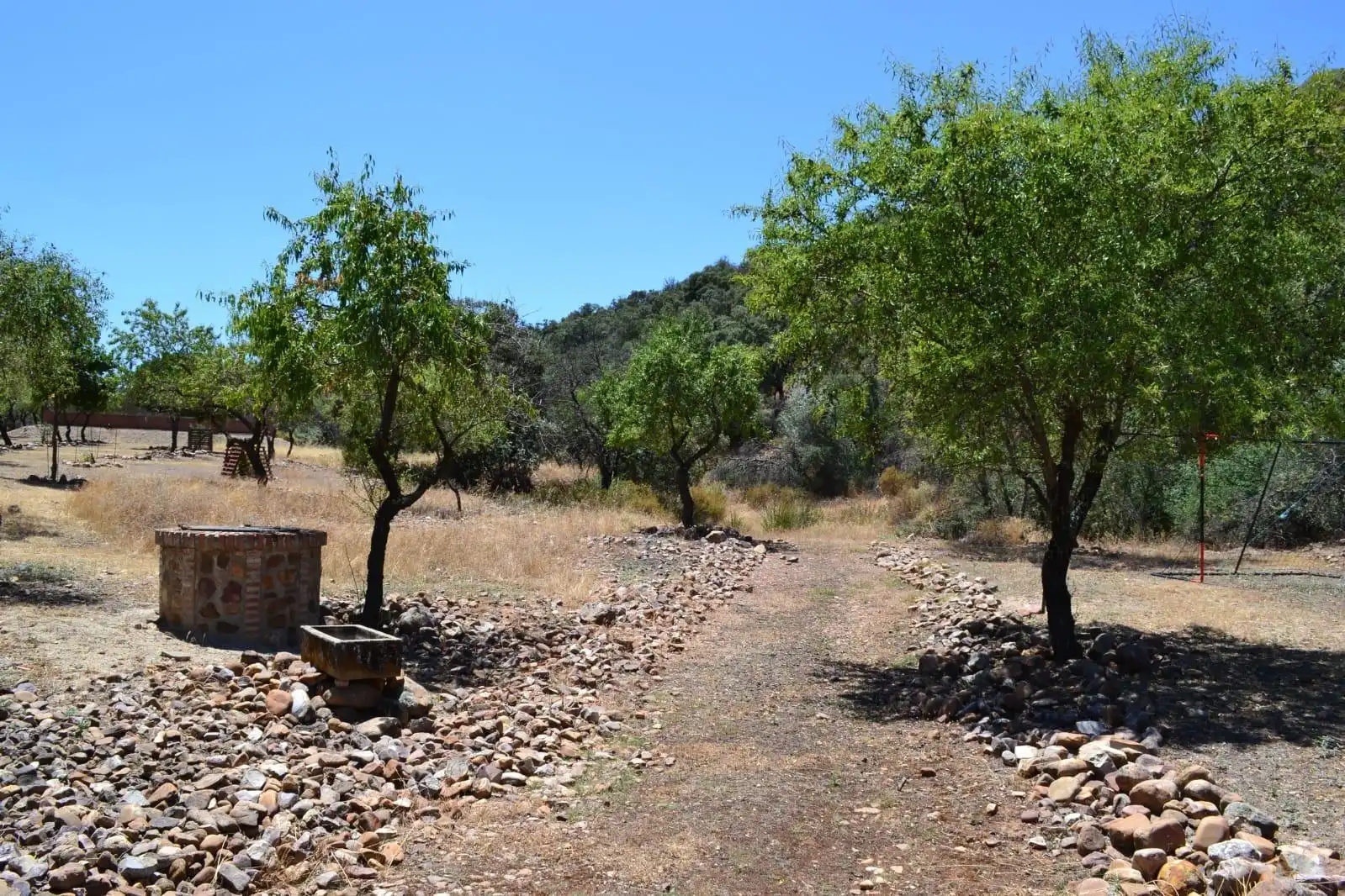 Finca rústica en venda a Belvís de la Jara