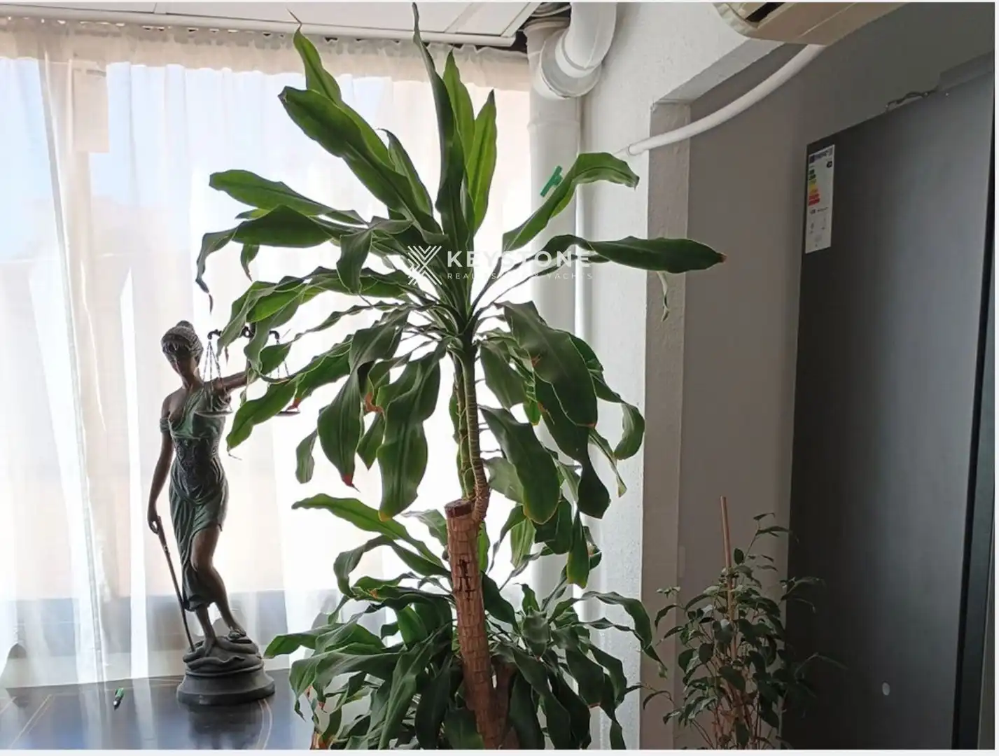 Garden of Flat for rent in Calvià  with Air Conditioner, Terrace and Furnished
