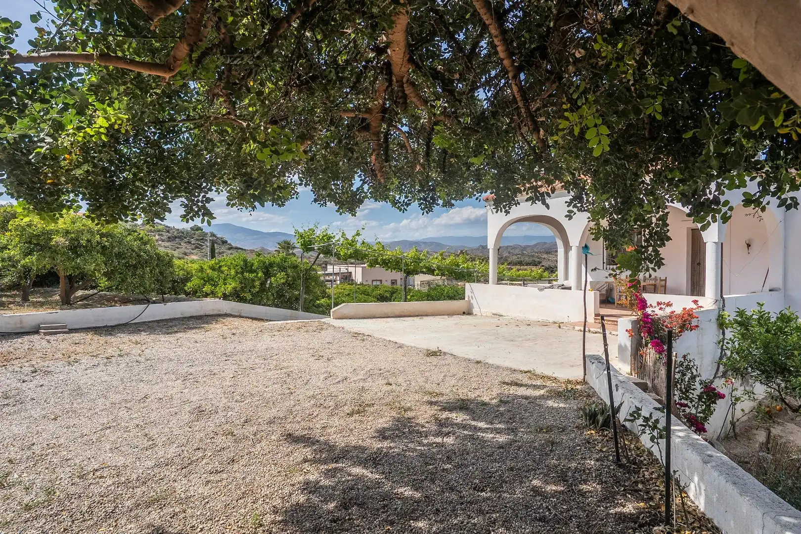Vista exterior de Casa o chalet en venta en Alhama de Almería con Jardín privado y Terraza