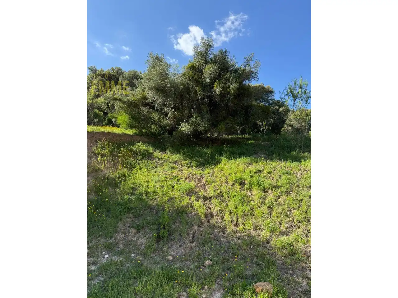Casa o xalet en venda en Jimera de Líbar amb Jardí privat i Terrassa