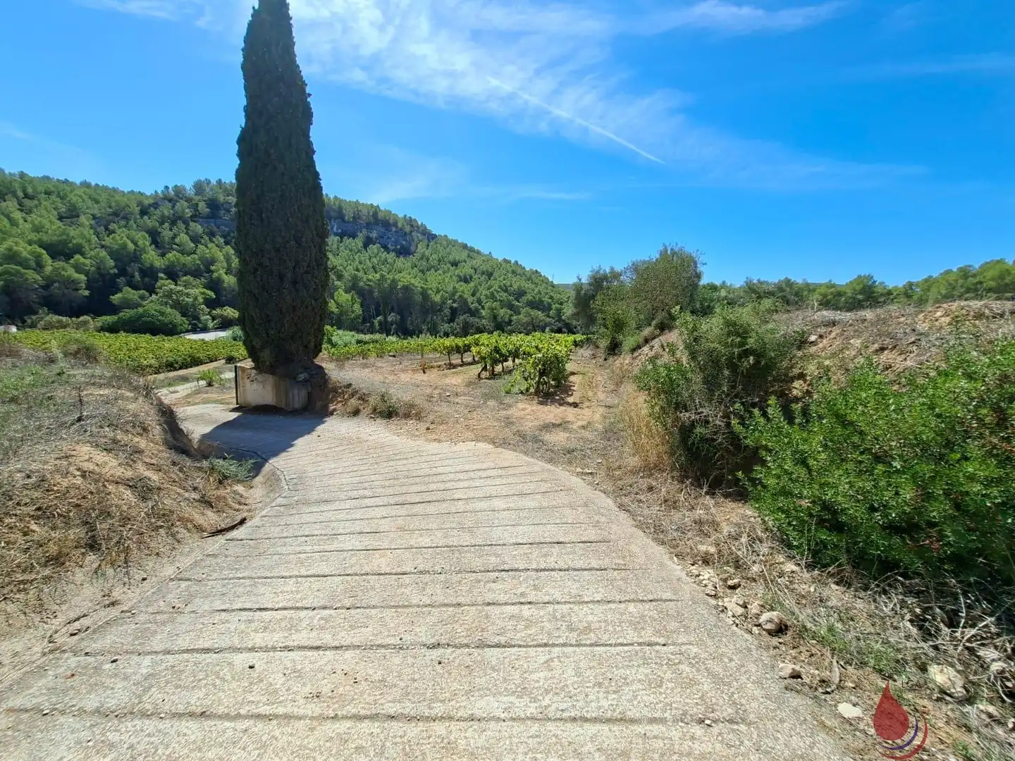 Terreni e lotti in vendita a Castellet i la Gornal, imagen 27