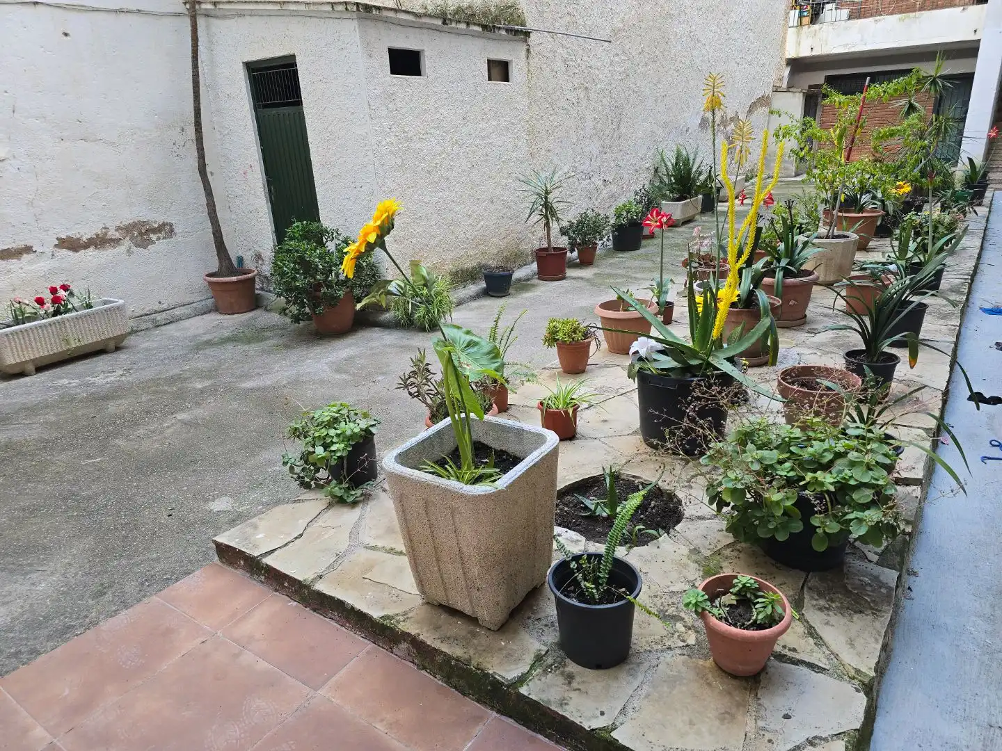 Jardín de Piso en venta en Centre