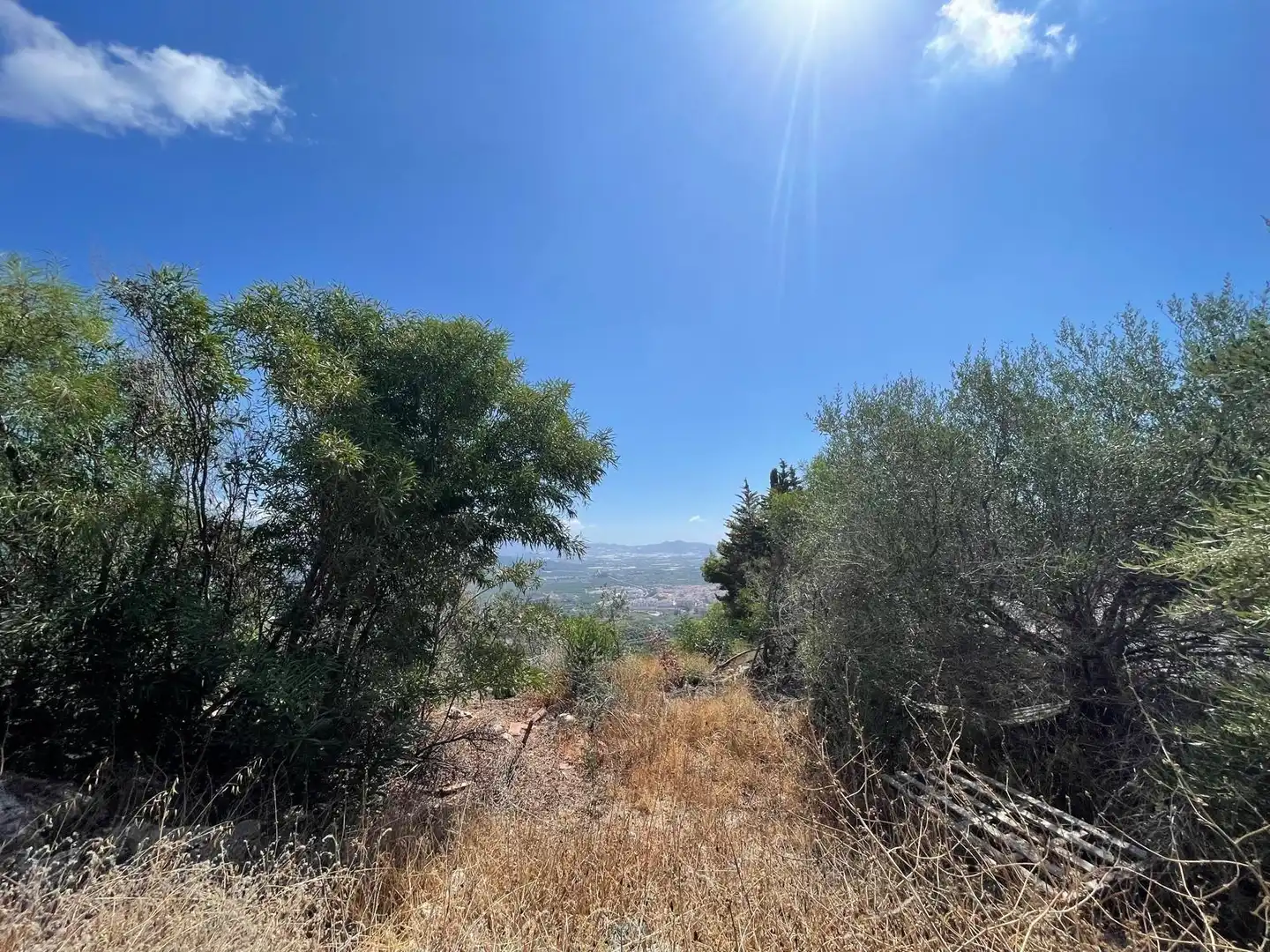 Terreno residencial en venta en Monte los Almendros - El Pargo - Costa Aguilera, imagen 3
