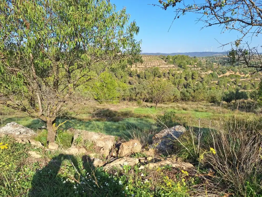 Country homes for sale in Bot  with Private garden and Terrace