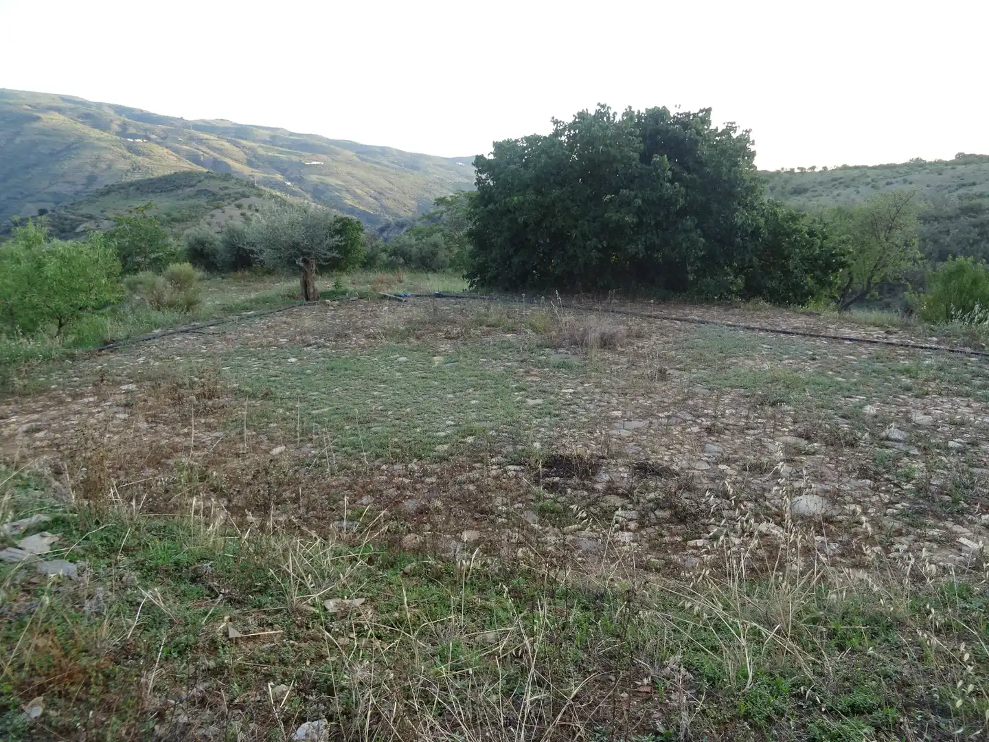 Country homes for sale in Lobras