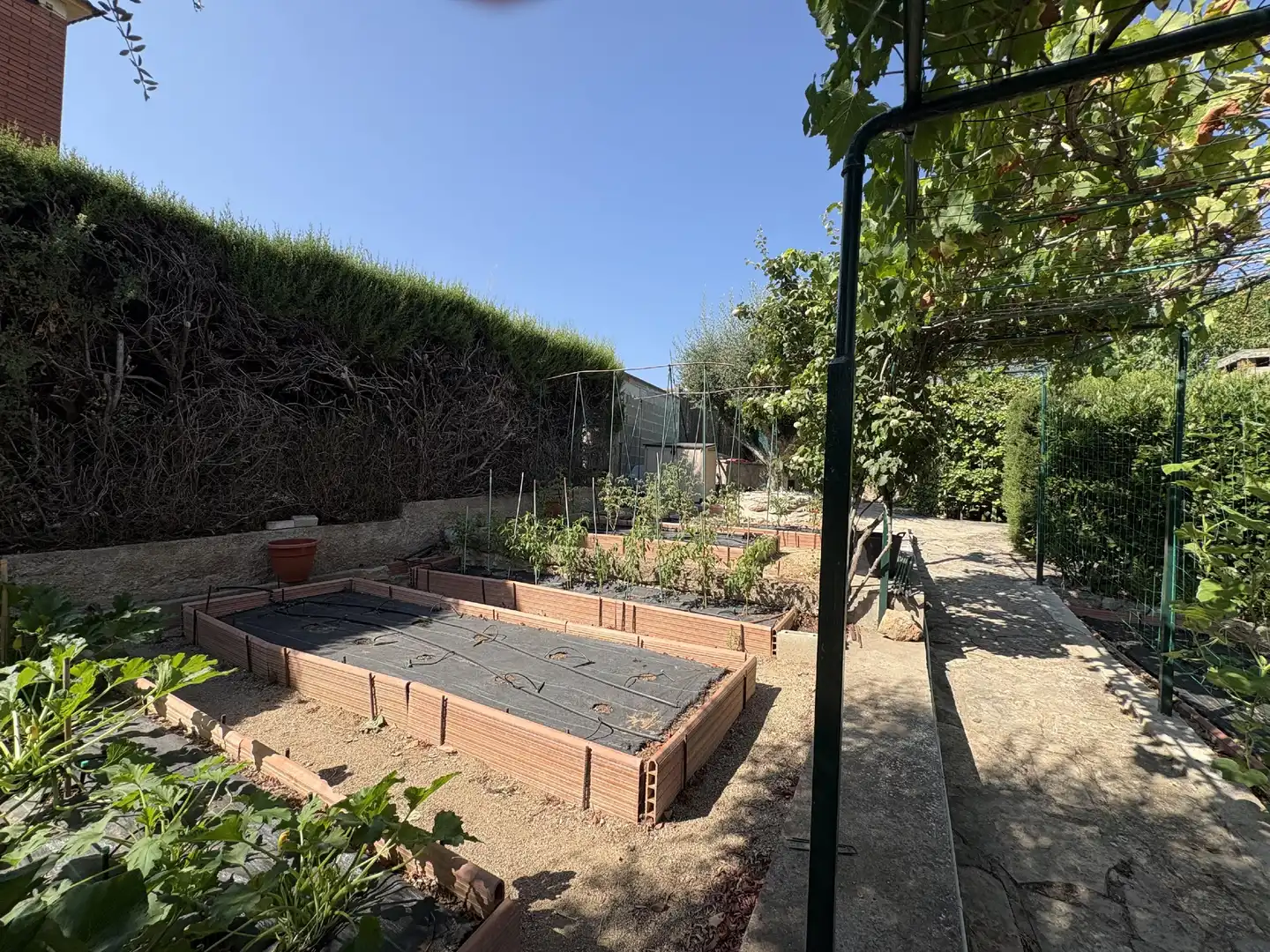 Jardí de Casa o xalet en venda en Cabrera d'Anoia amb Aire condicionat, Jardí privat i Traster