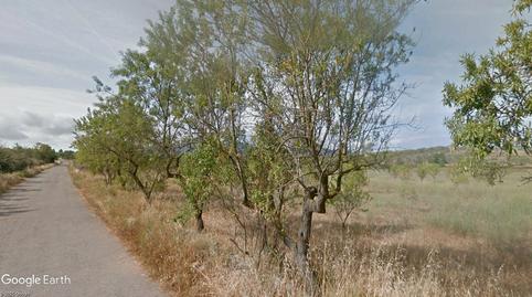 Foto 5 de Terreno en venta en Plaça Poligono 27, Cabanes, Castellón