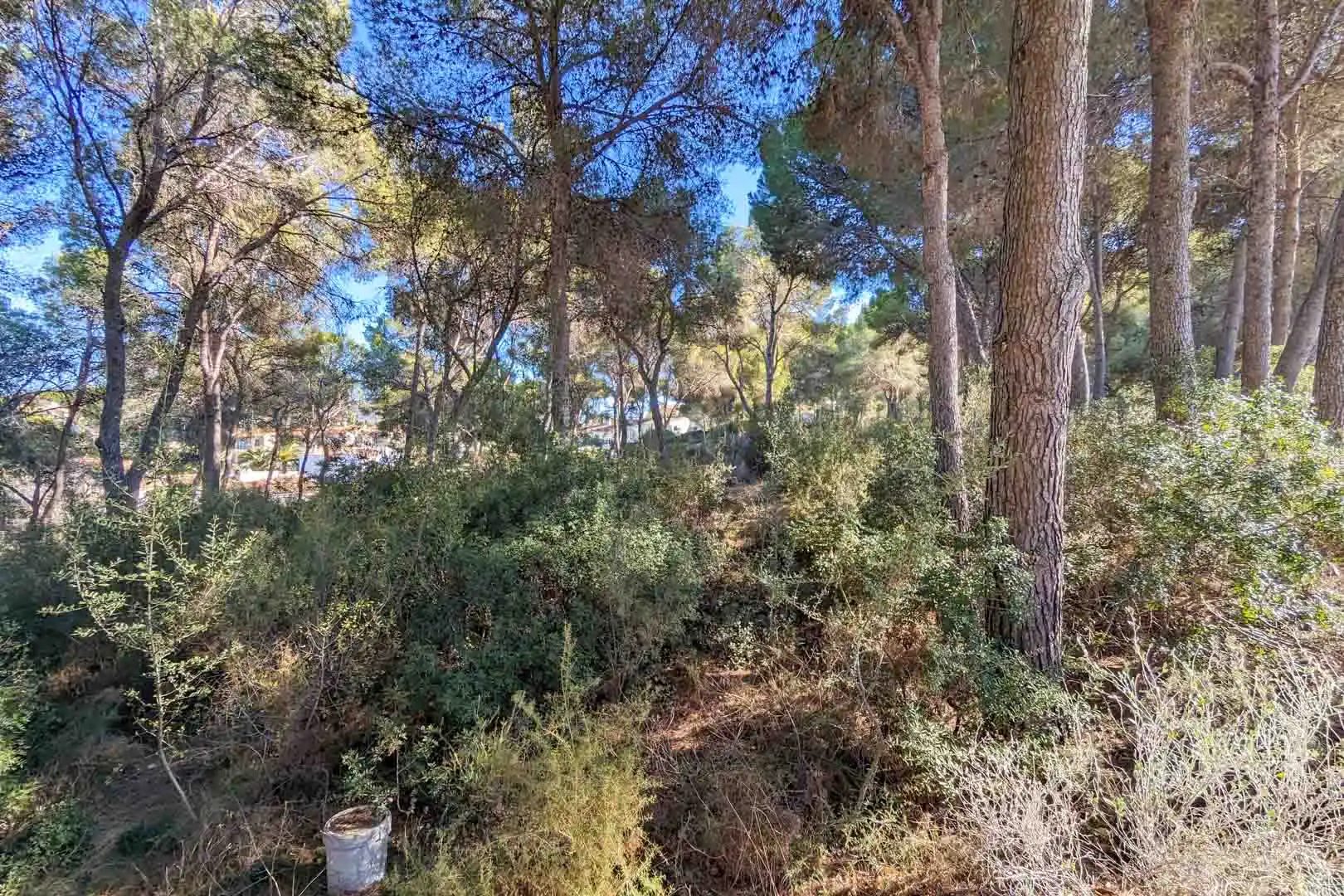 Detached house with pool for sale in Pinar del Advocat - Cometa, imagen 8