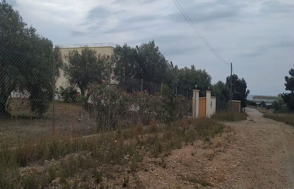 Terreno rustico in vendita a C/ La Punta o Fonda, imagen 9