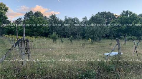 Foto 3 de Casa o xalet en venda a N/a, -1, Nava de Francia, Salamanca