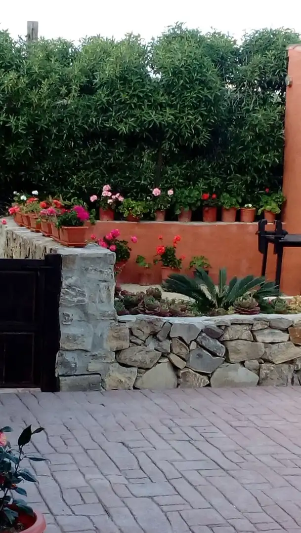 Jardín de Apartamento de alquiler en Vejer de la Frontera con Terraza