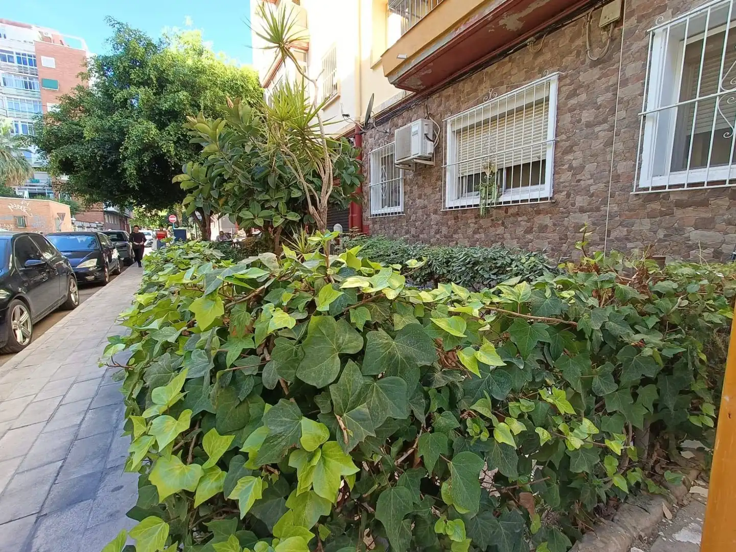 Bajo en venta en Pla - Carolinas, imagen 32