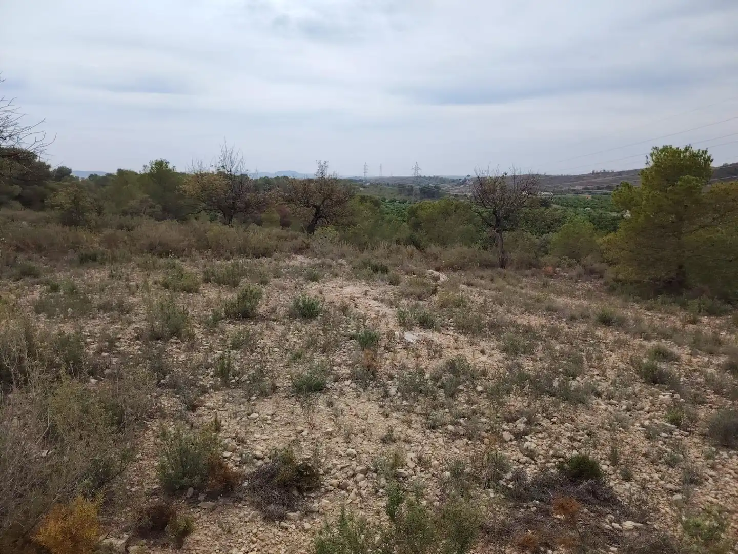 Terreny rústic en venda a Santa Bárbara, imagen 10