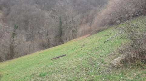 Foto 4 de Finca rústica en venda a Caso, Asturias