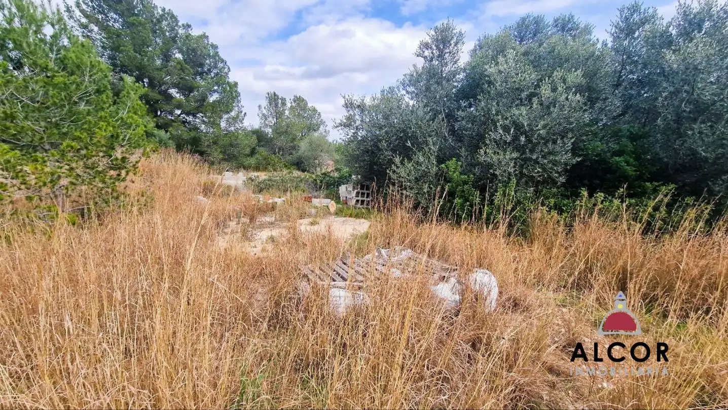 Finca rústica en venda en Benicarló