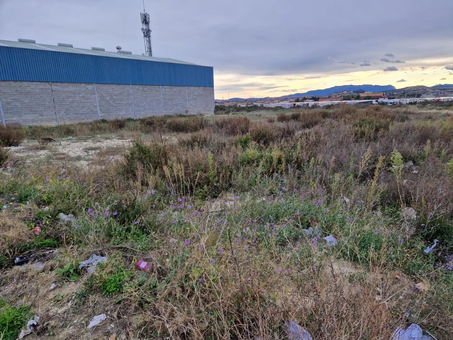 Terreny industrial en venda a Archena, imagen 7