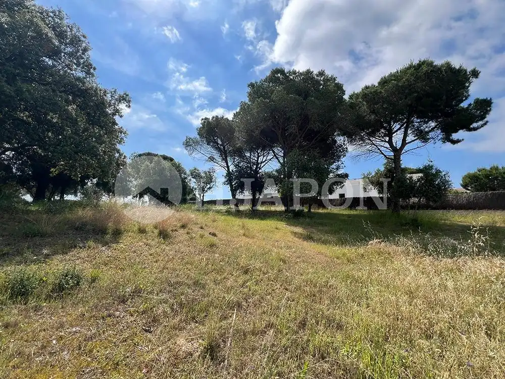 Terreny residencial en venda a El Mirador - La Cornisa, imagen 6