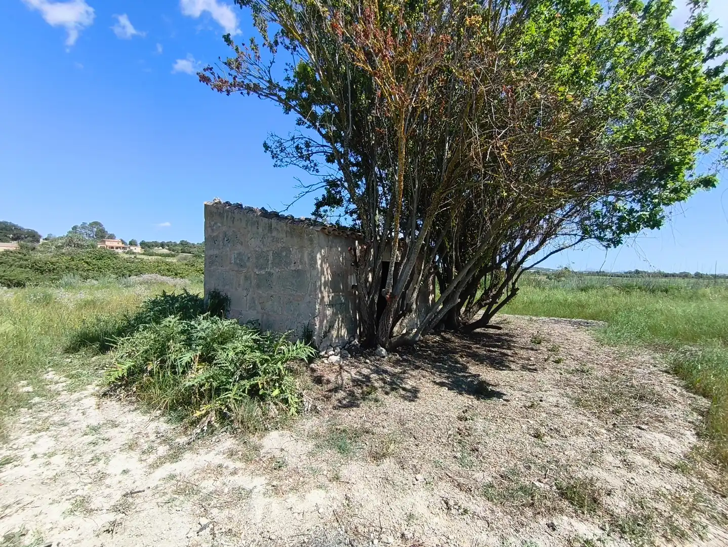 Terreno rustico in vendita a Maria de la Salut, imagen 12