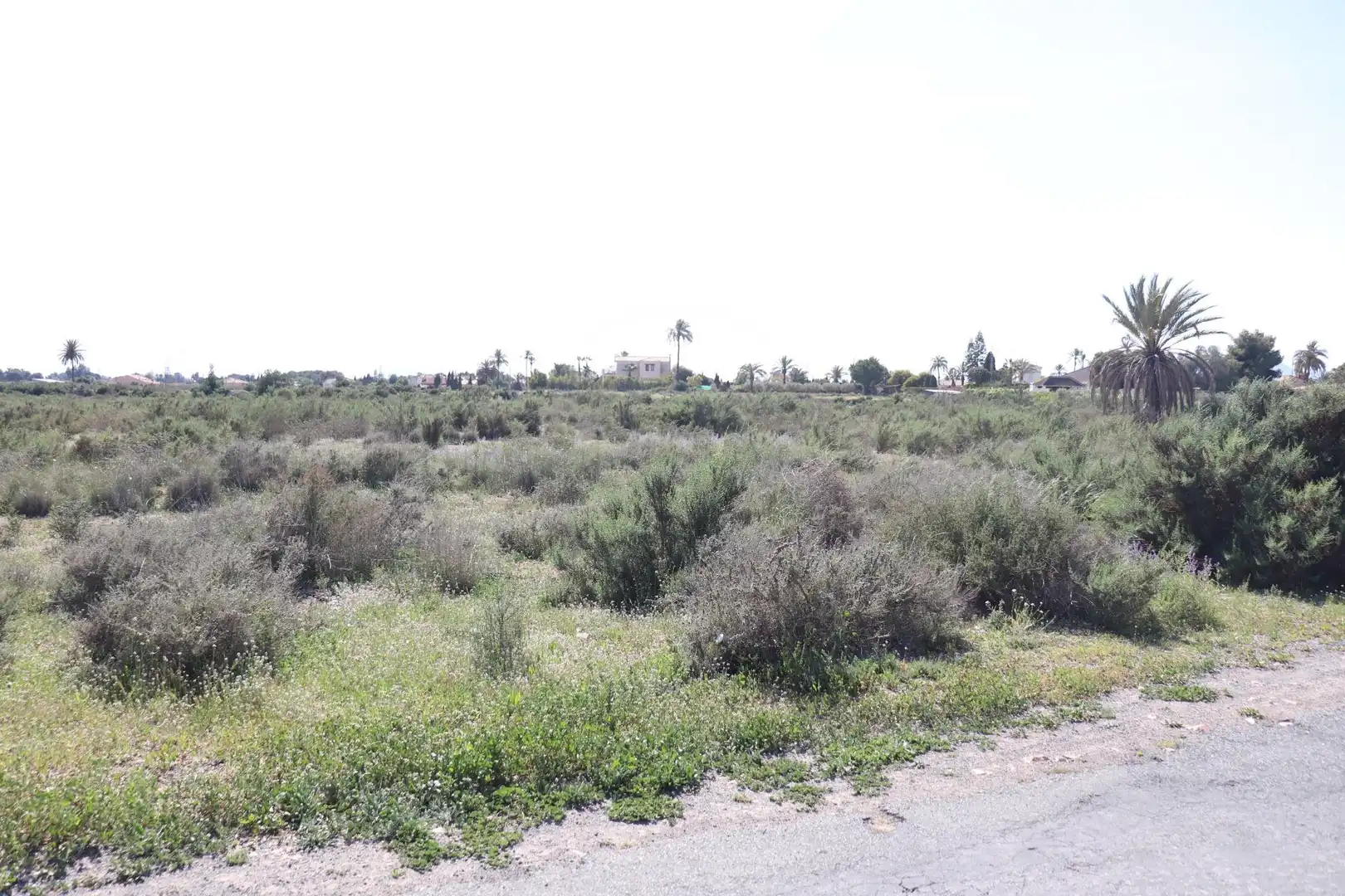 Grundstücke zum Verkauf in Elche / Elx