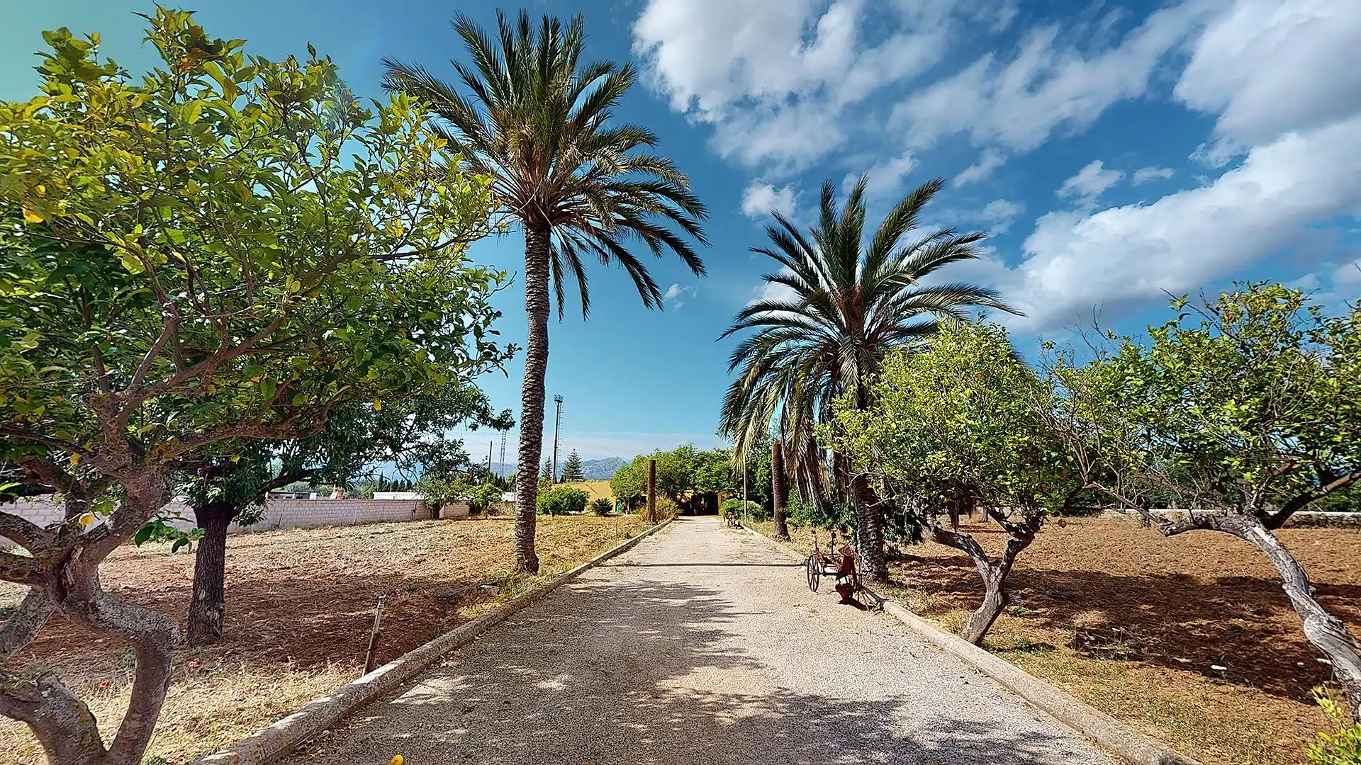 Finca rústica en venda en  Palma de Mallorca