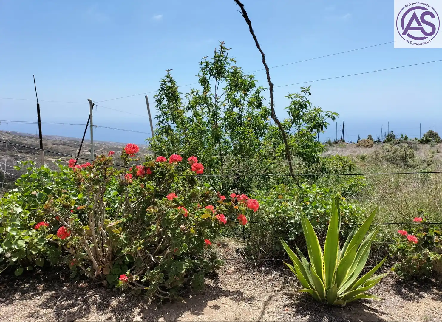 Finca rústica en venta en Fasnia
