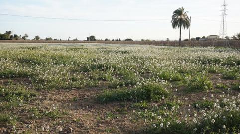 Foto 4 de Residencial en venda a Las Bayas, Elche / Elx